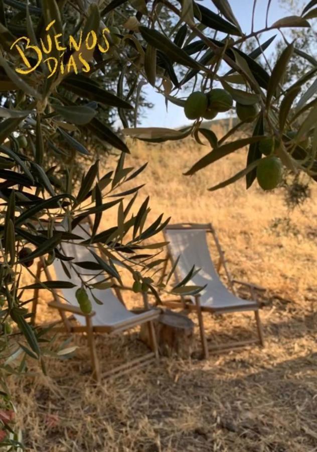蒙地卡罗 Tienda De Safari Almagro酒店 外观 照片